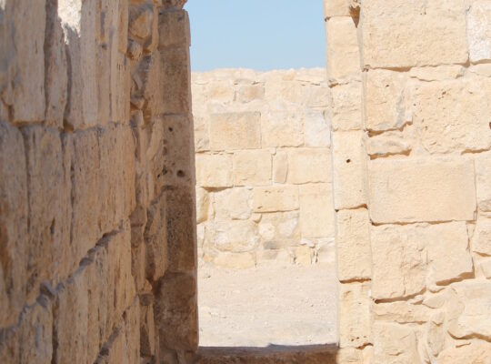 Mura di Masada